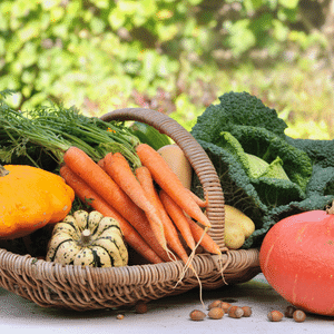 Pourquoi manger des légumes de saison ?